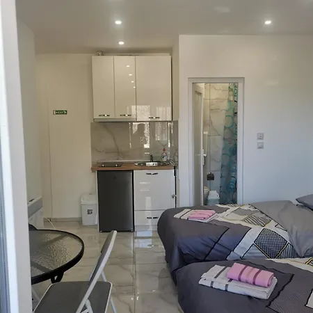 Aleksandar 1 דירה *