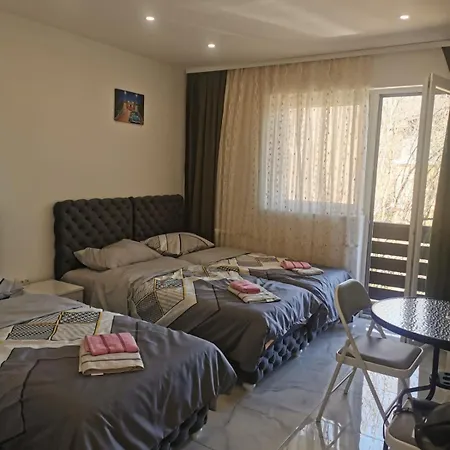 Apartment Aleksandar 1 Ribarska Banja