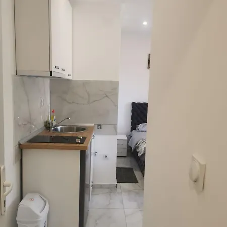 Aleksandar 1 * ריברסקה בניה